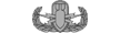 Explosive Ordnance Disposal